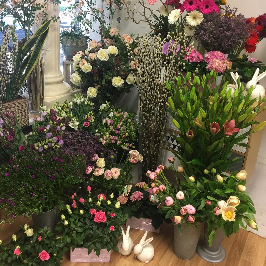 Ci vuole un fiore – fiorista a Lugano, partner Fioristi.ch